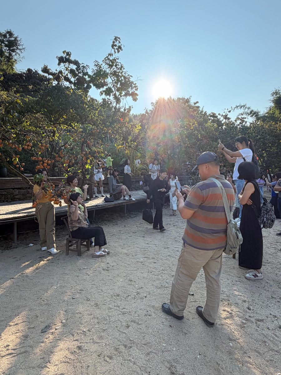 参会者参观山野柿红线路